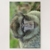 Monkey puzzel (Verticaal)