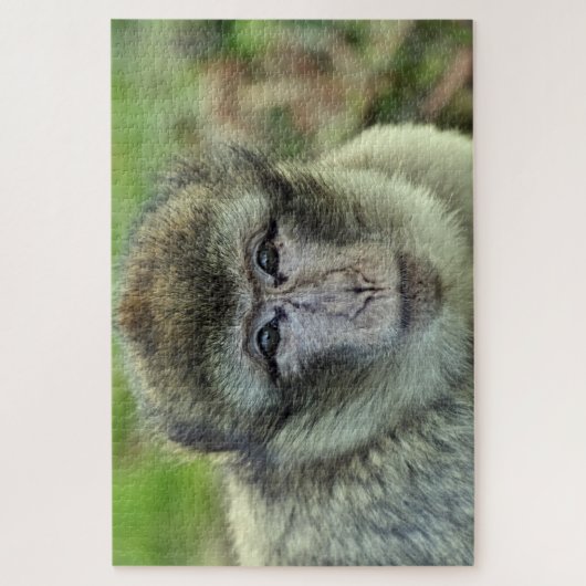 Monkey puzzel (Verticaal)