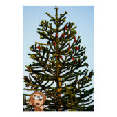 Monkey Puzzle. Perfect Poster (Voorkant)