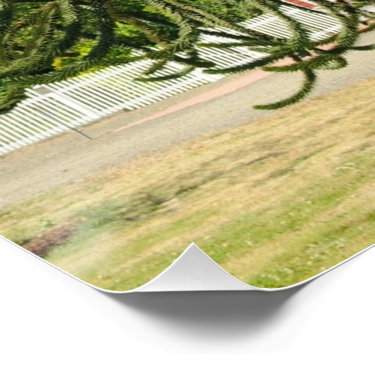 Monkey Puzzle. Perfect Poster (Hoek)