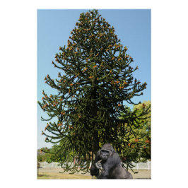 Monkey Puzzle. Perfect Poster
