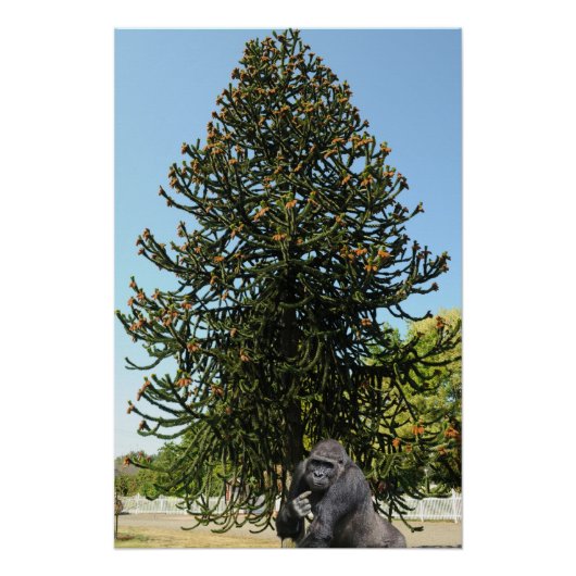 Monkey Puzzle. Perfect Poster (Voorkant)
