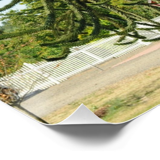 Monkey Puzzle. Perfect Poster (Hoek)