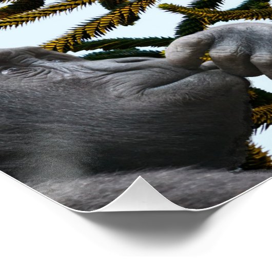 Monkey Puzzle. Perfect Poster (Hoek)