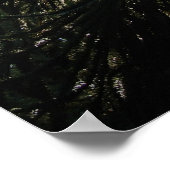 Monkey Puzzle Poster (Hoek)