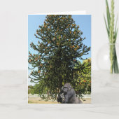 Monkey Puzzle & Puzzled Gorilla. Kaart (Voorkant)