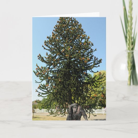 Monkey Puzzle & Puzzled Gorilla. Kaart (Voorkant)