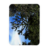 Monkey Puzzle Tree #1 Magnet Magneet (Verticaal)