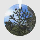 Monkey Puzzle Tree #1 Ornament (achterkant)