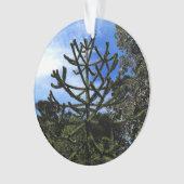 Monkey Puzzle Tree #1 Ornament (voorkant)