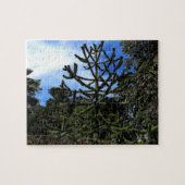 Monkey Puzzle Tree #1 Puzzle Legpuzzel (Horizontaal)
