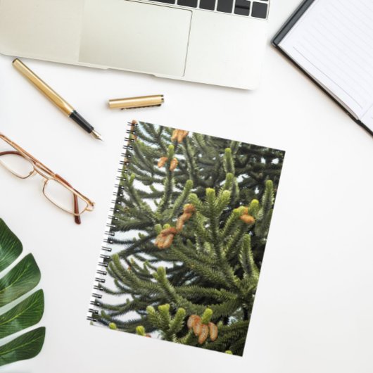 Monkey Puzzle Tree Botanische foto Notitieboek