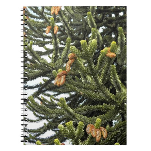 Monkey Puzzle Tree Botanische foto Notitieboek (Voorkant)