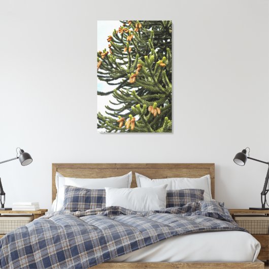 Monkey Puzzle Tree Fotografisch Canvas Afdruk (Insitu (Slaapkamer))