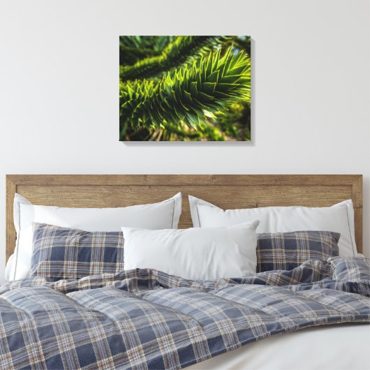 Monkey Puzzle Tree - Tree Fotografie Canvas Afdruk (Insitu (Slaapkamer))