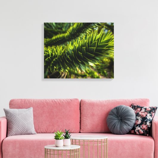 Monkey Puzzle Tree - Tree Fotografie Canvas Afdruk (Insitu (Woonkamer))