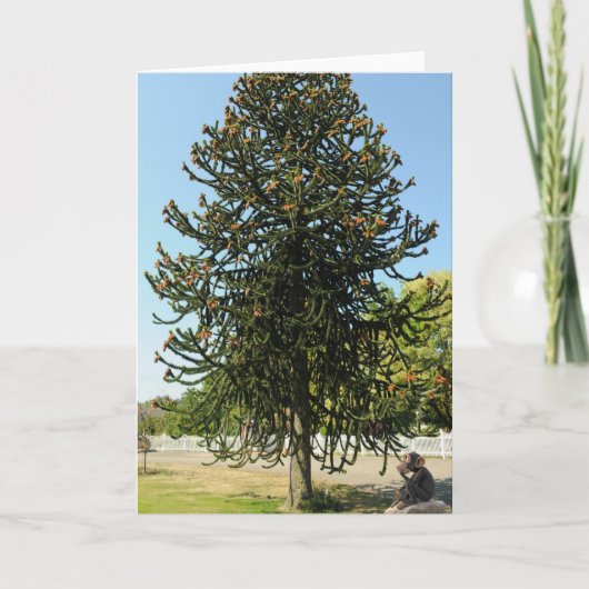 Monkey Puzzled. Kaart (Voorkant)