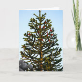 Monkey Puzzled. Kaart (Voorkant)