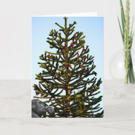 Monkey Puzzled. Kaart