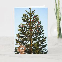 Monkey Puzzled. Kaart