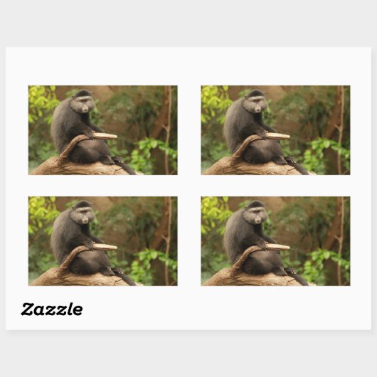 Monkey Rectangle Sticker (Vel)