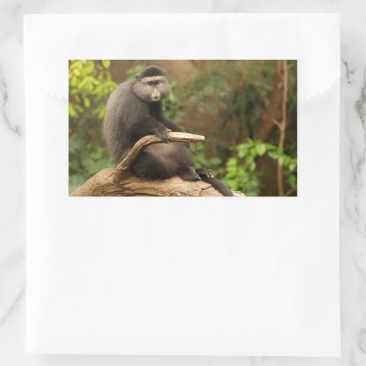Monkey Rectangle Sticker (Tas)