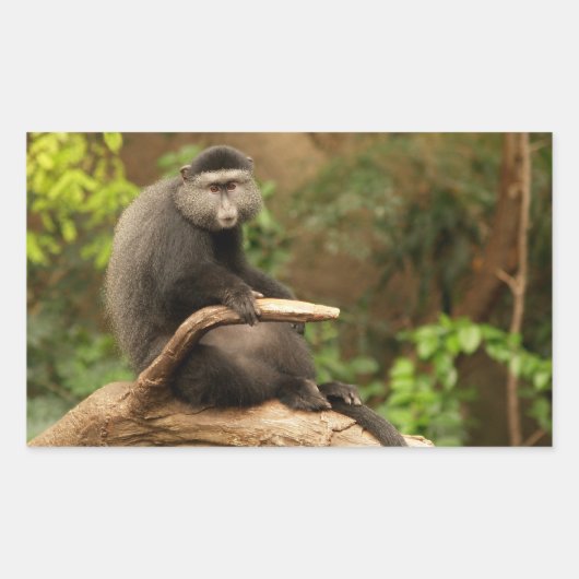 Monkey Rectangle Sticker (Voorkant)