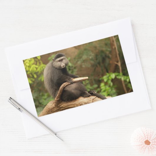 Monkey Rectangle Sticker (Envelop)