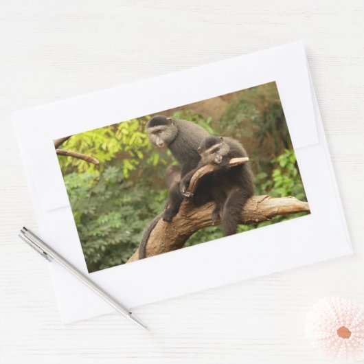 Monkey Rectangle Sticker (Envelop)