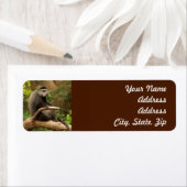 Monkey Return Address Sticker (Insitu)