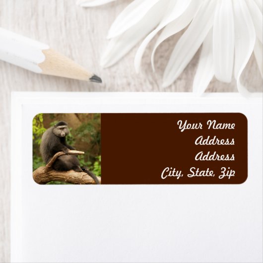 Monkey Return Address Sticker (Insitu)