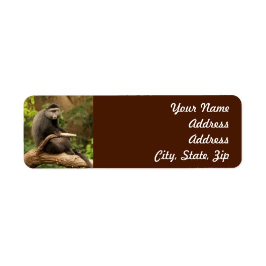 Monkey Return Address Sticker (Voorkant)