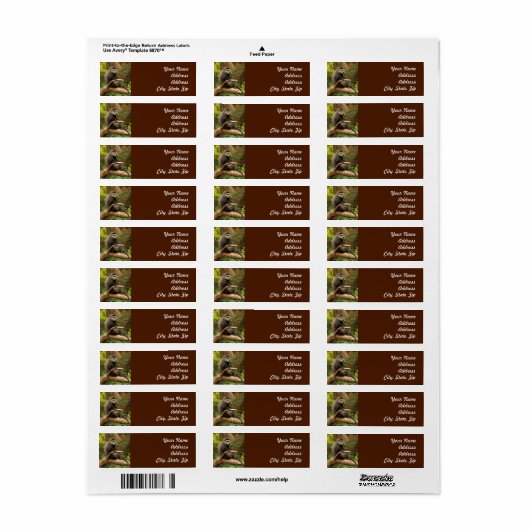 Monkey Return Address Sticker (Full Sheet)