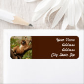 Monkey Return Address Sticker (Insitu)