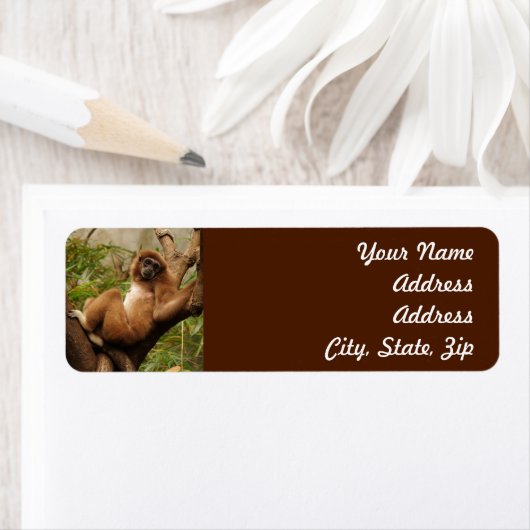 Monkey Return Address Sticker (Insitu)