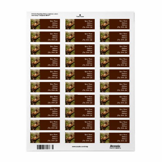 Monkey Return Address Sticker (Full Sheet)