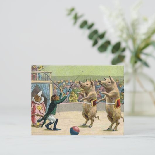 Monkey Ringmaster en Circus Pigs Briefkaart (Staand voorkant)
