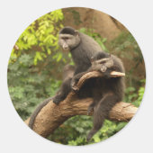 Monkey Round Sticker (Voorkant)