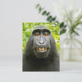 Monkey Selfie Briefkaart (Staand voorkant)