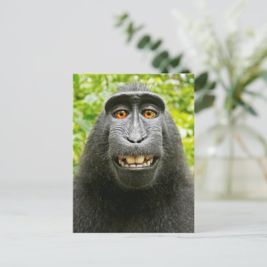 Monkey Selfie Briefkaart (Staand voorkant)