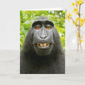 Monkey Selfie Kaart (Gele Bloem)