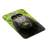 Monkey Selfie Magneet (Rechterzijde)