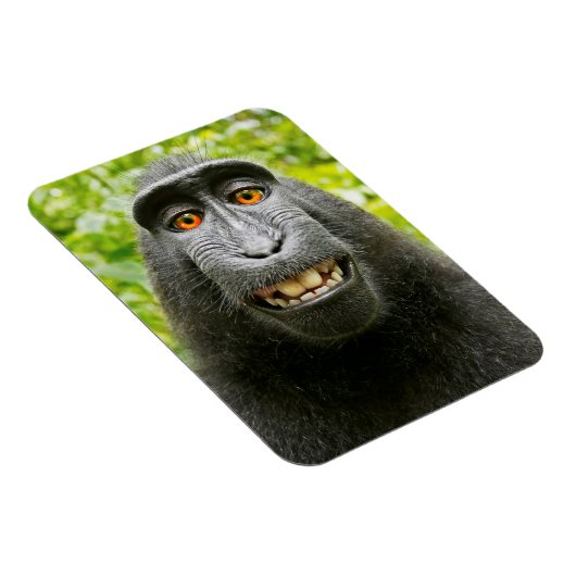 Monkey Selfie Magneet (Rechterzijde)