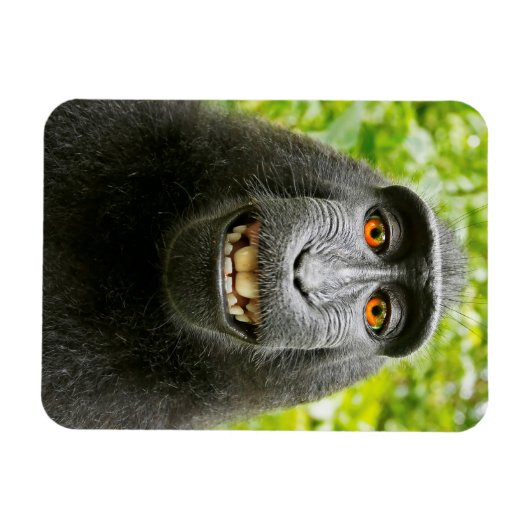 Monkey Selfie Magneet (Horizontaal)