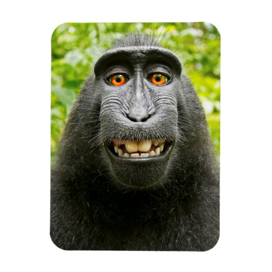 Monkey Selfie Magneet (Verticaal)