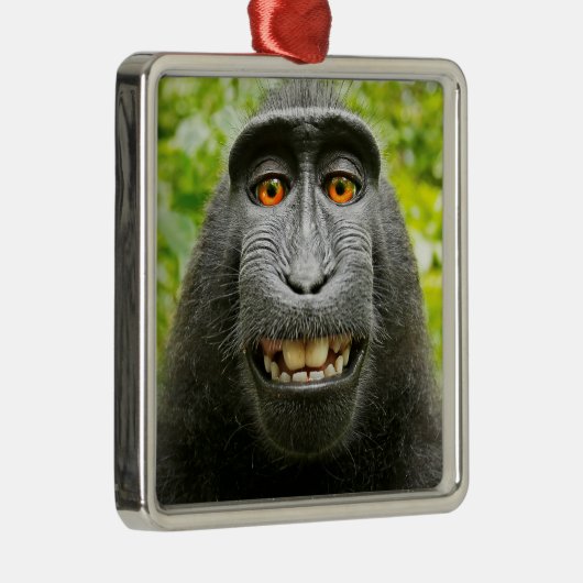 Monkey Selfie Metalen Ornament (Rechts)