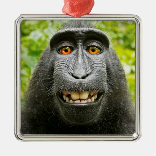 Monkey Selfie Metalen Ornament (Voorkant)