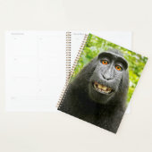 Monkey Selfie Planner (Display)
