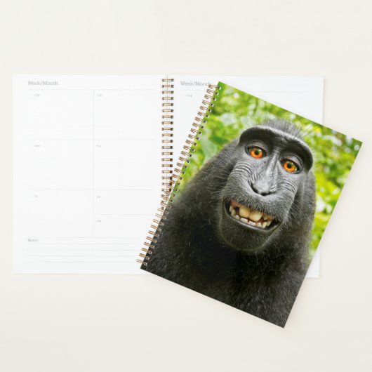 Monkey Selfie Planner (Display)