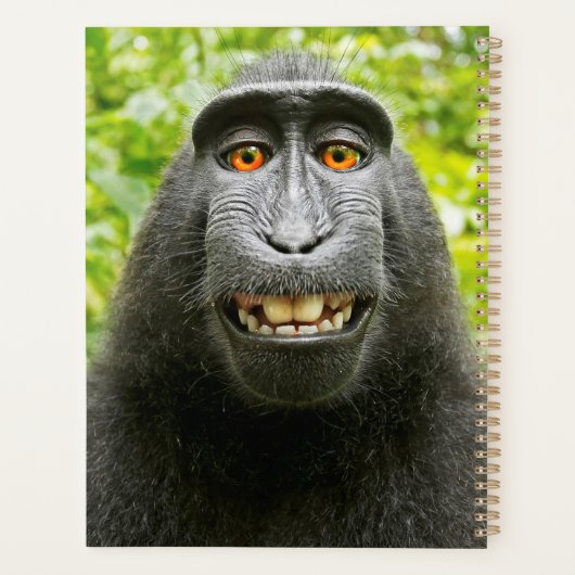 Monkey Selfie Planner (Achterkant)